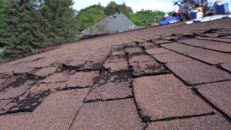 Best Commercial Roofing Services  in Riverton, NJ